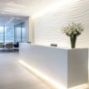 Corian En Recepciones