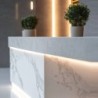 Corian En Recepciones
